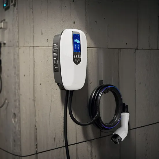 220V Evse Car Charger for All Evs with WiFi/APP/RFID Card Functions
