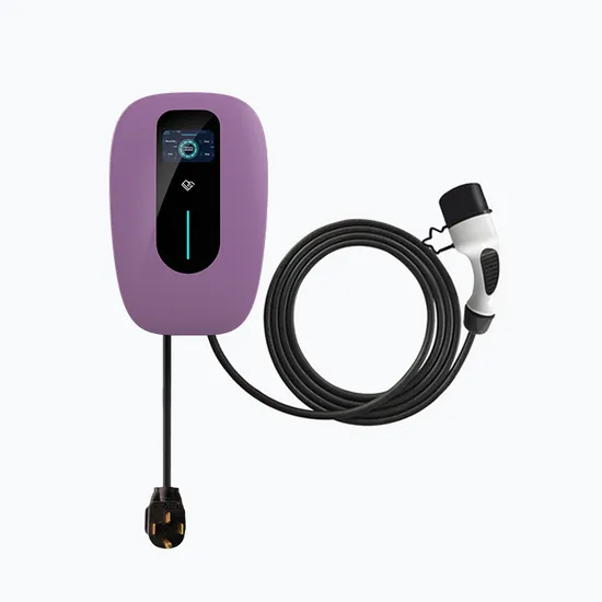 12 Months Green Science Charging Station Wallbox EV Charger with RoHS