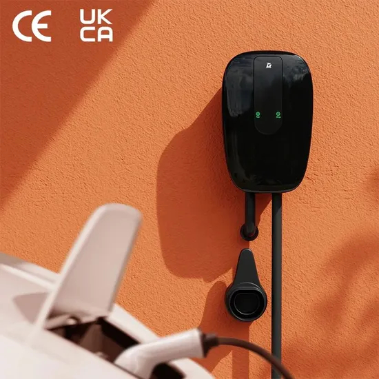 OEM Type1/Type2/Gbt EV Charger Wallbox Plug and Play Fast Charging with CE&amp;RoHS