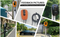 Green Science Wallbox Wall-Mounted Charger Ev Car 3 Phase Wallbox 22KW Charging 32A AC EV Charger Station With OCPP