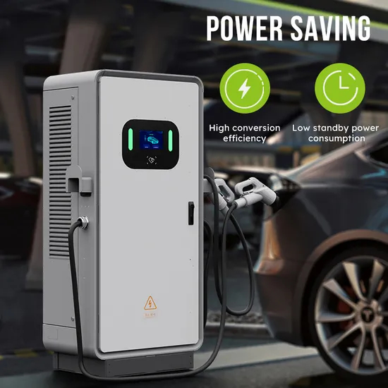 Public Commercial Charging DC EV Charger Station 2 Guns
