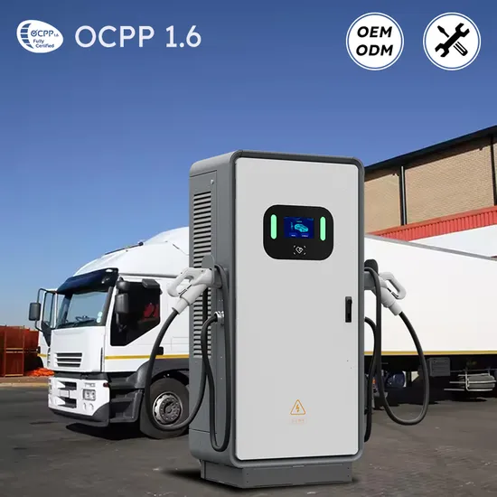 160kw DC EV Charger with 73inch Screen for Language Customization