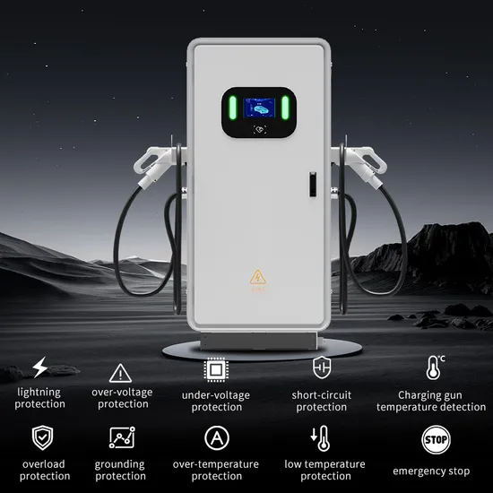 Public Commercial Charging DC EV Charger Station 2 Guns