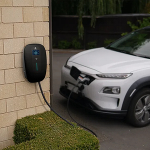 High Performance Wall-Mounted /Pedestal Electric Charging Station Car Battery Charger Parking Area with RoHS