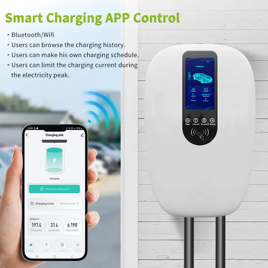 Logo Customizable Cheap Low Price EV Charger Type 2 IEC 62196